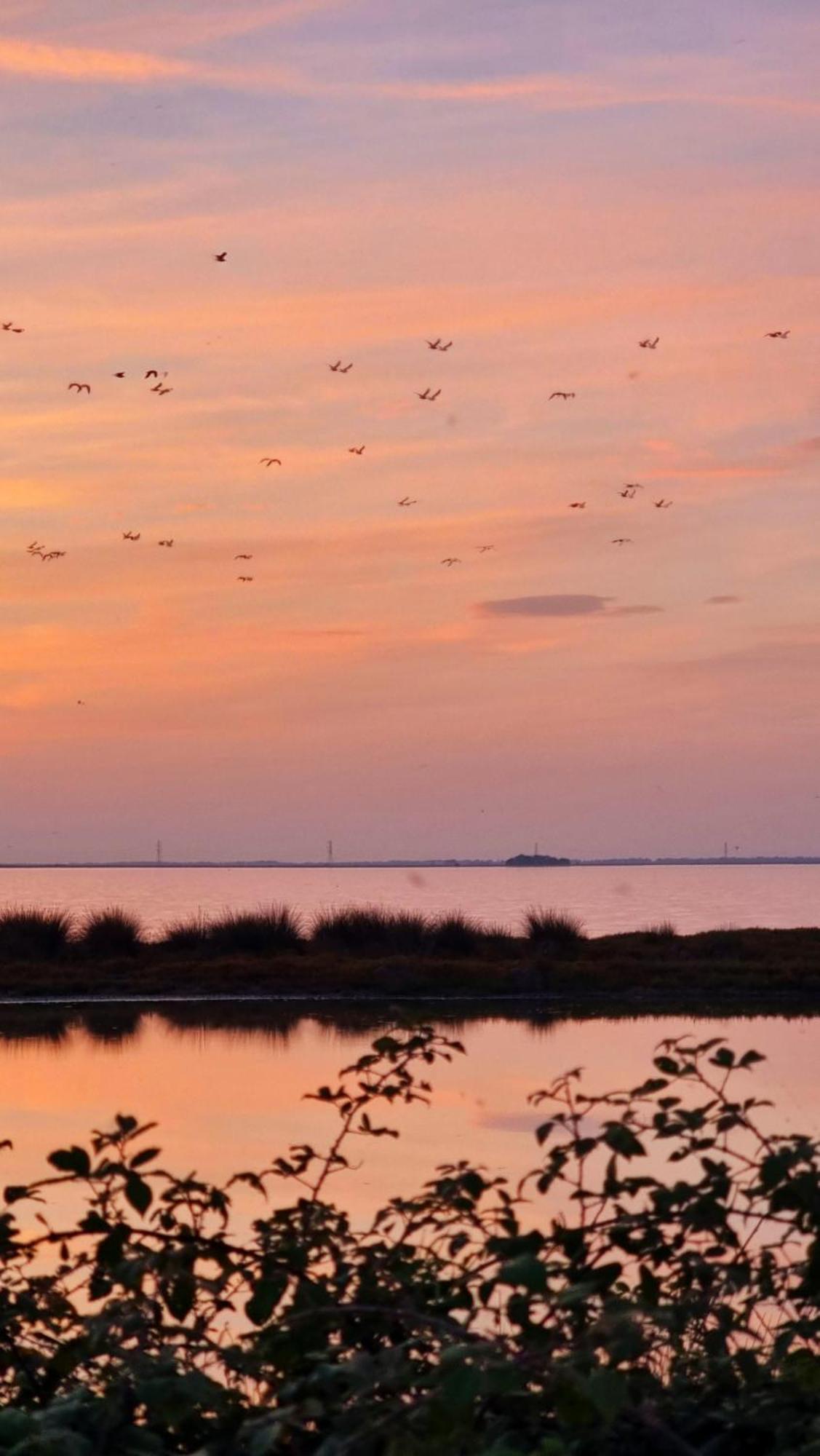 Al Ponticello Bed and Breakfast Comacchio Εξωτερικό φωτογραφία