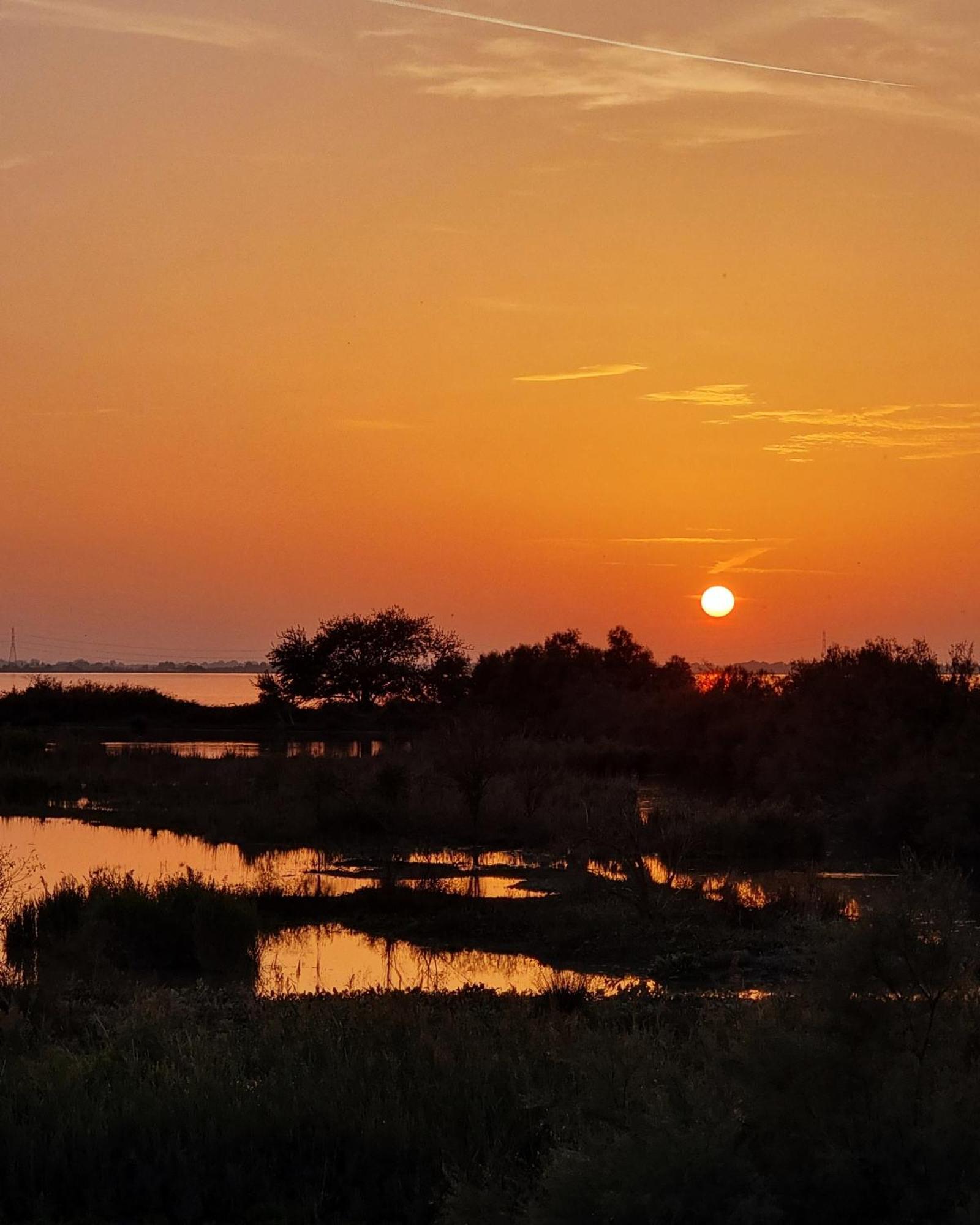 Al Ponticello Bed and Breakfast Comacchio Εξωτερικό φωτογραφία